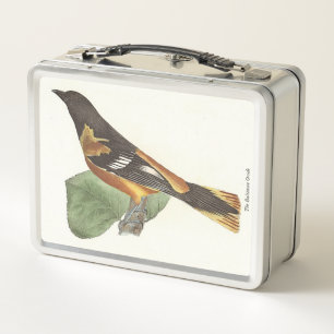 De gouden of Baltimore Oriole (Icterus galbula)