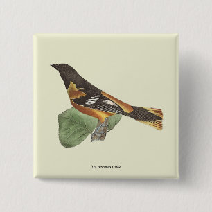 De gouden of Baltimore Oriole (Icterus galbula) Vierkante Button 5,1 Cm