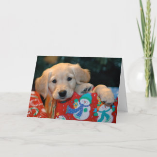 De gouden Onderhavige Kerstkaart van het Puppy Feestdagen Kaart