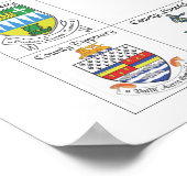 De graafschappen van Ierland Poster (Hoek)