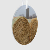 De grandes balles de foin rond dans un champ agric (devant)