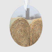 De grandes balles de foin rond dans un champ agric (devant)