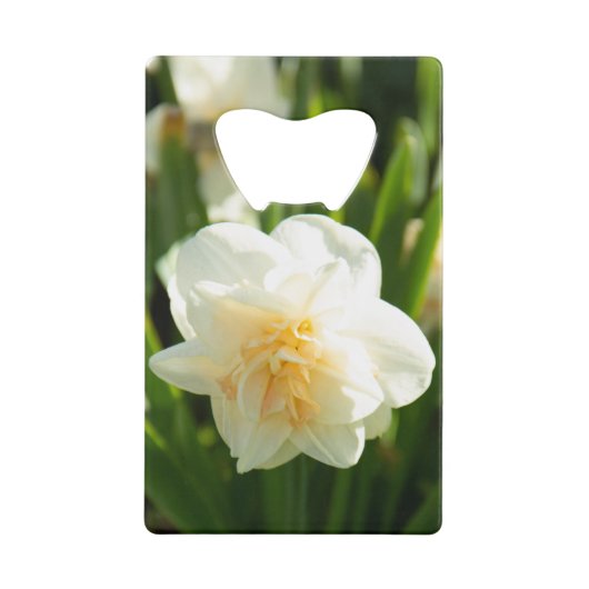 De grands jonquilles blanches par un jour de print (Devant)