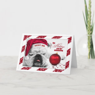 De grappige Feestdagen van de kerstbulletshond zij Kaart