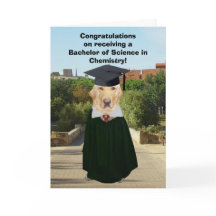 De grappige Gediplomeerde van de Chemie van het