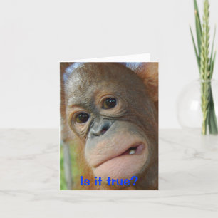 De grappige Gelukwensen van de Afstuderen van het Kaart