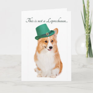 De grappige Kaart van de Dag van Corgi St. Patrick