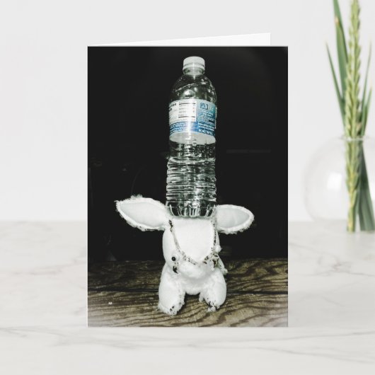 De grappige Kaart van de Verjaardag van het (Voorkant)