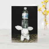 De grappige Kaart van de Verjaardag van het (Gele Bloem)