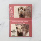 De grappige (roze) Kaart van Pasen van de Dag van (Binnen)