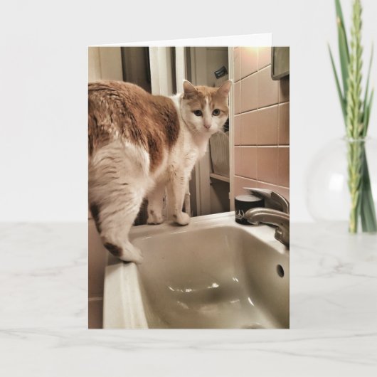 De Grappige Verjaardag van de Minnaar van de kat Kaart (Voorkant)