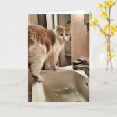 De Grappige Verjaardag van de Minnaar van de kat Kaart (Gele Bloem)