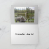 De grappige Verjaardag van de Struisvogel Kaart (Binnen)