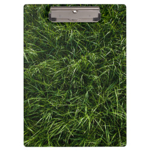 De gras is altijd Groener Klembord