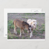 De gras is groener briefkaart (Voorkant / Achterkant)