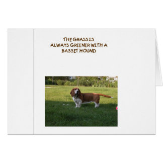 DE GRAS IS GROENTER MET EEN BASET HOUND