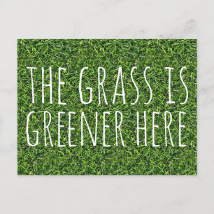 De gras is hier groener briefkaart