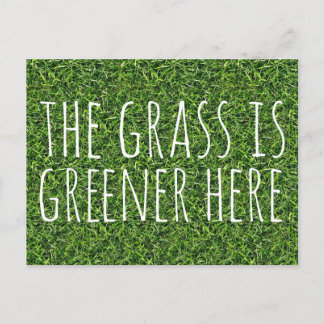 De gras is hier groener briefkaart