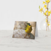 De Grasmus van Wilson - Joe Sweeney - kaart (Gele Bloem)