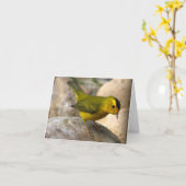 De Grasmus van Wilson - Joe Sweeney - kaart (Gele Bloem)