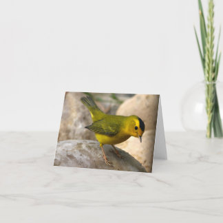 De Grasmus van Wilson - Joe Sweeney - kaart