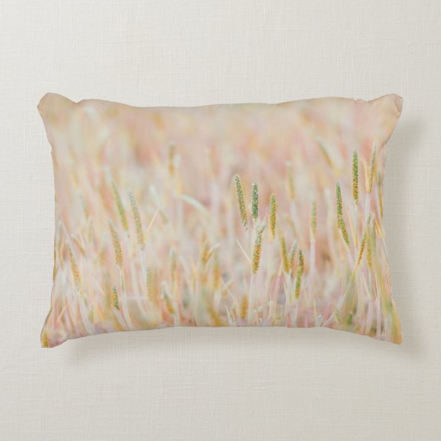 DE GRASSLAND WERD IN PASTEL-COLOED GEPUBLICEERD DO ACCENT KUSSEN (Voorkant)