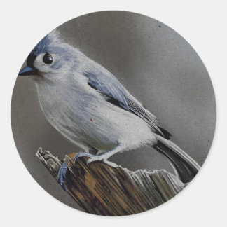 De gratie van de grijze mees ronde sticker