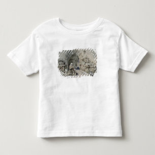 De grave van Little Nell Kinder Shirts