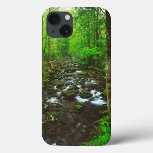 De Great Smoky Mountains Case-Mate iPhone Case (Achterkant)