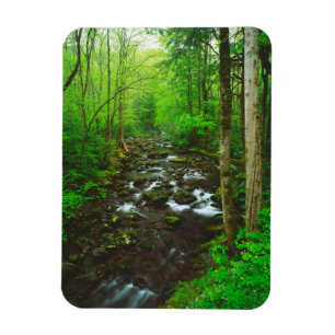 De Great Smoky Mountains Magneet