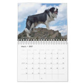 De grens Collie 2010 Kalender (Mar 2027)