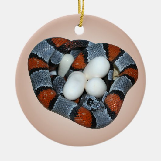 De grijsbandslang keramisch ornament (Voorkant)