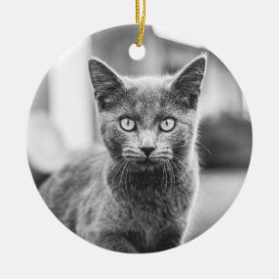 De grijze kat keramisch ornament