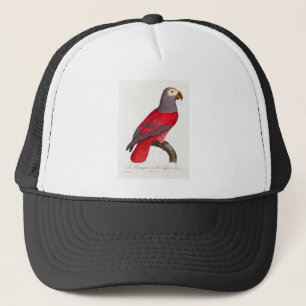 De grijze rode papegaai, Psittacus erithacus Trucker Pet