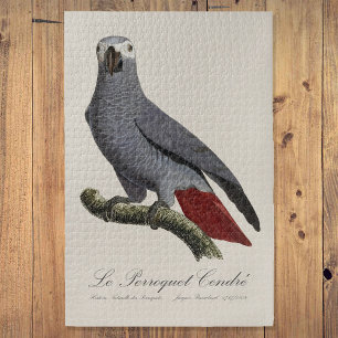 De grijze roodstaartpapegaai - 19e-eeuwse illustra legpuzzel