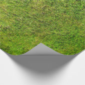 De groene achtergrond van de textuur van het Grass Cadeaupapier (Hoek)