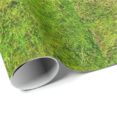 De groene achtergrond van de textuur van het Grass Cadeaupapier (Rol Hoek)