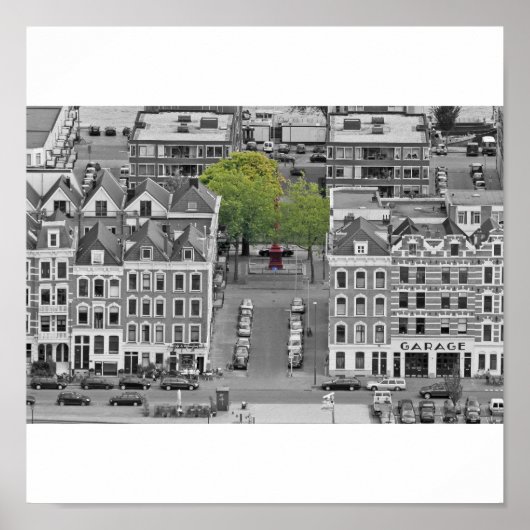 De groene boom poster (Voorkant)