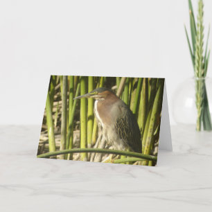 De groene Kaart van de Reiger