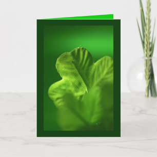 De groene klaver - feestdagen kaart