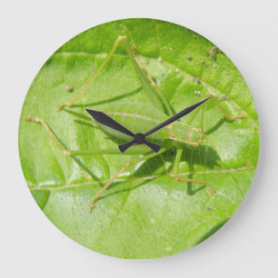 De groene Klok van de Muur van de Camouflage van