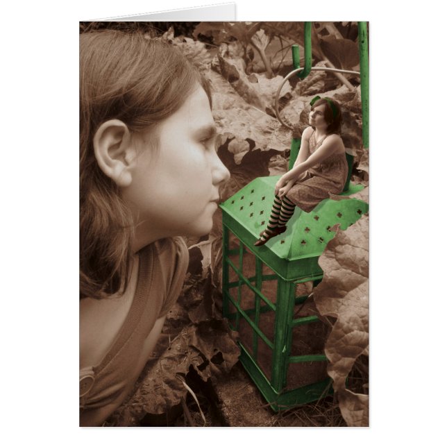 De groene lantaarn (Voorkant)