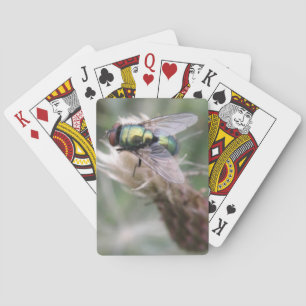 De groene MacroSpeelkaarten van de Vlieg van de Pokerkaarten