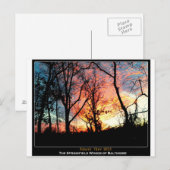 De Groene Ruimte van Baltimore - het Uitzicht van Briefkaart (Voorkant / Achterkant)