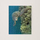 De Groene Zee schildpad (Chelonia mydas) is de 2 Legpuzzel (Verticaal)