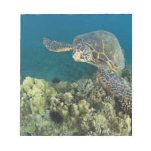 De Groene Zeeschildpad, (Chelonia mydas), is de 2 Notitieblok