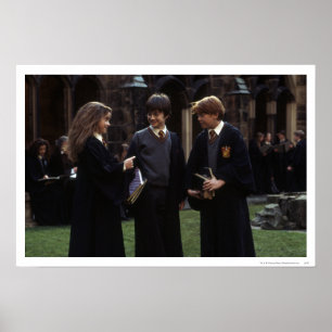 De groep buiten Hogwarts Poster