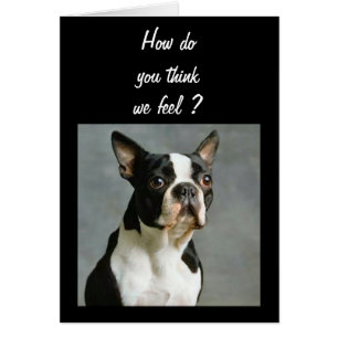 DE GROEP KAN OOK VANDAAG 40 UUR WORDEN