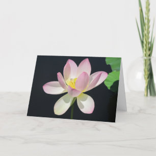 De groet card2 van de waterlelie kaart