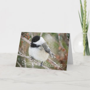 De Groeten SneeuwChickadee van het seizoen Feestdagen Kaart